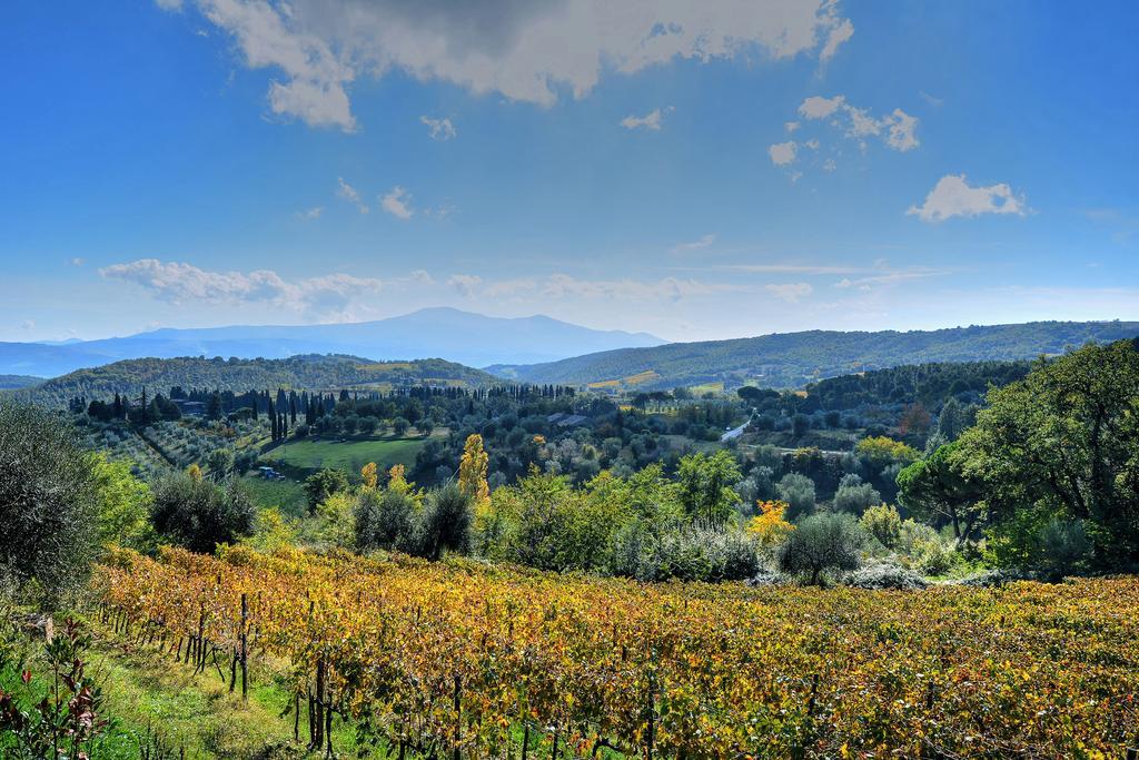 Agriturismo Fraschetta Montalcino Buitenkant foto