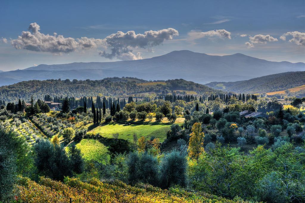 Agriturismo Fraschetta Montalcino Buitenkant foto