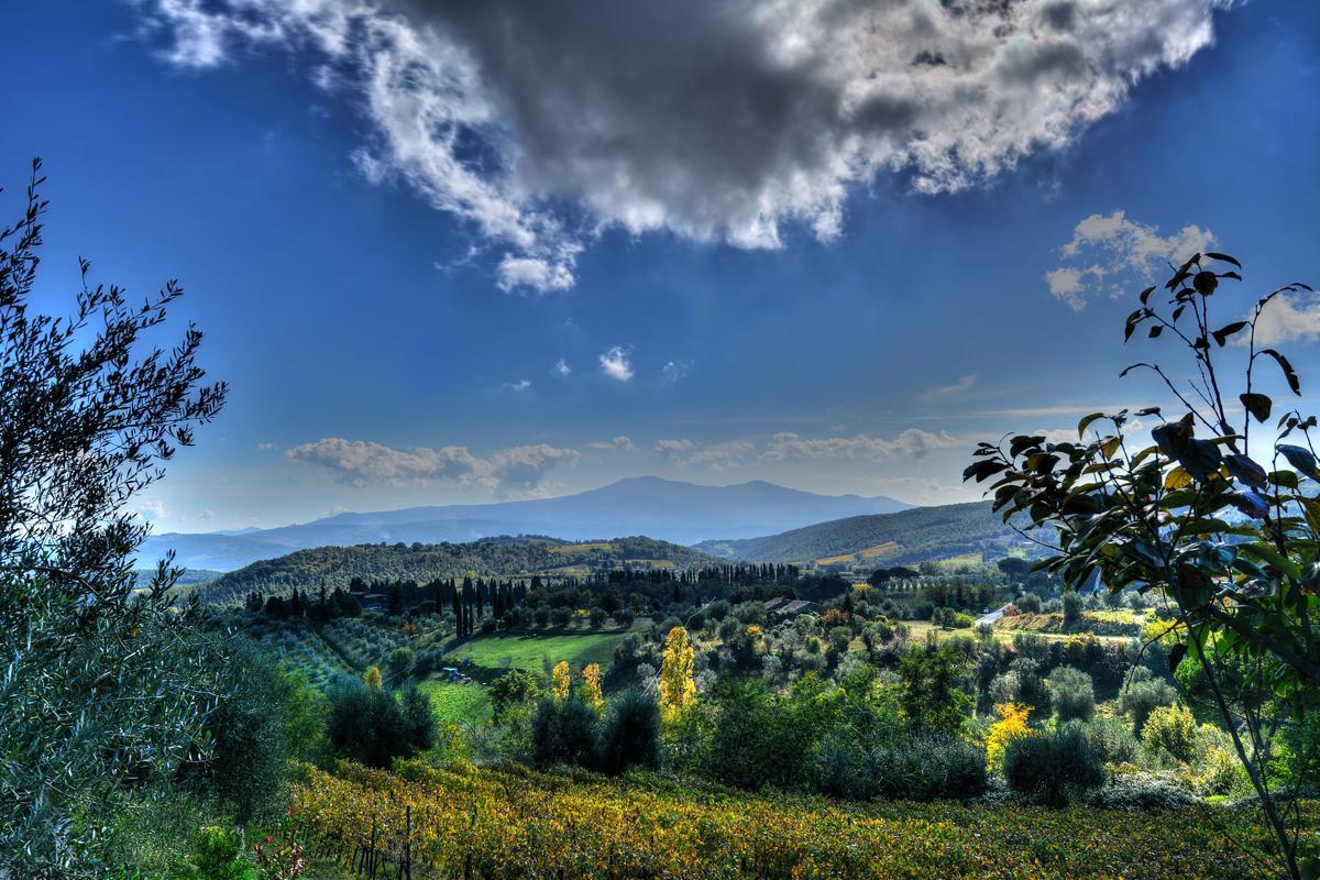 Agriturismo Fraschetta Montalcino Buitenkant foto